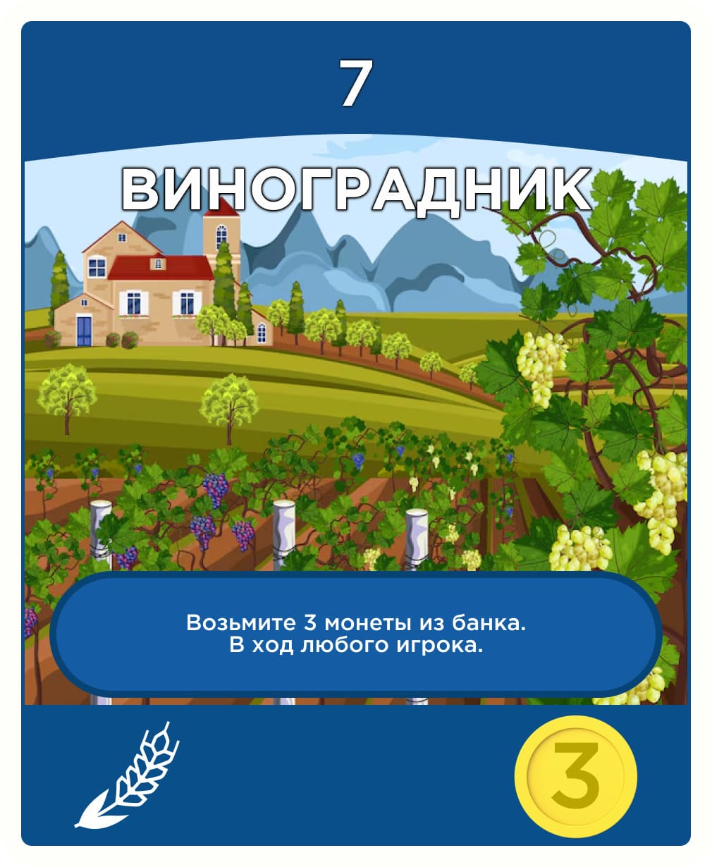Vineyard